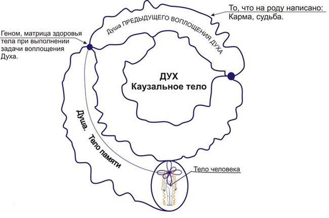 Что значит прошлая жизнь человека